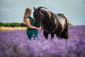 Equine Photography Thursday 9th July